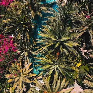 Flamingo & - Pet Friendly Hotel