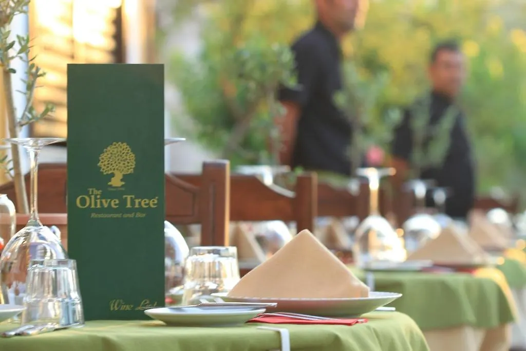 The Olive Tree Studios (Adults Only) Ölüdeniz 3*,